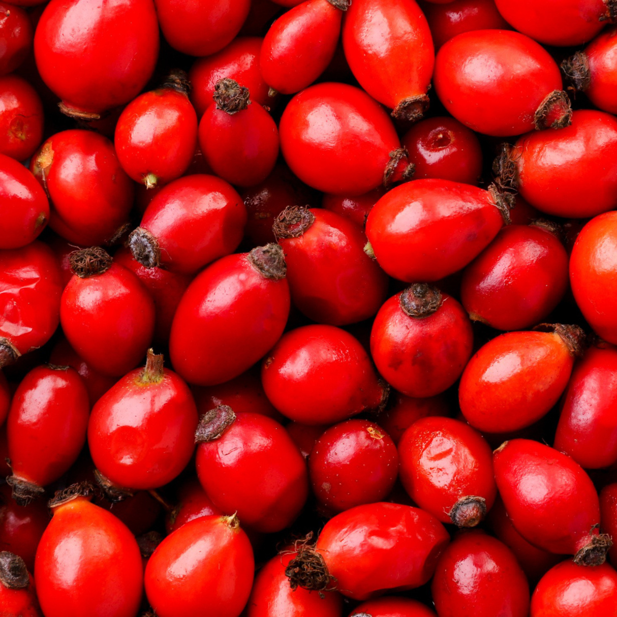 Organic Rosehip Seed Oil cosmetic oil, pure cold-pressed oil rich in antioxidants and fatty acids for improving skin tone, elasticity, and hydration