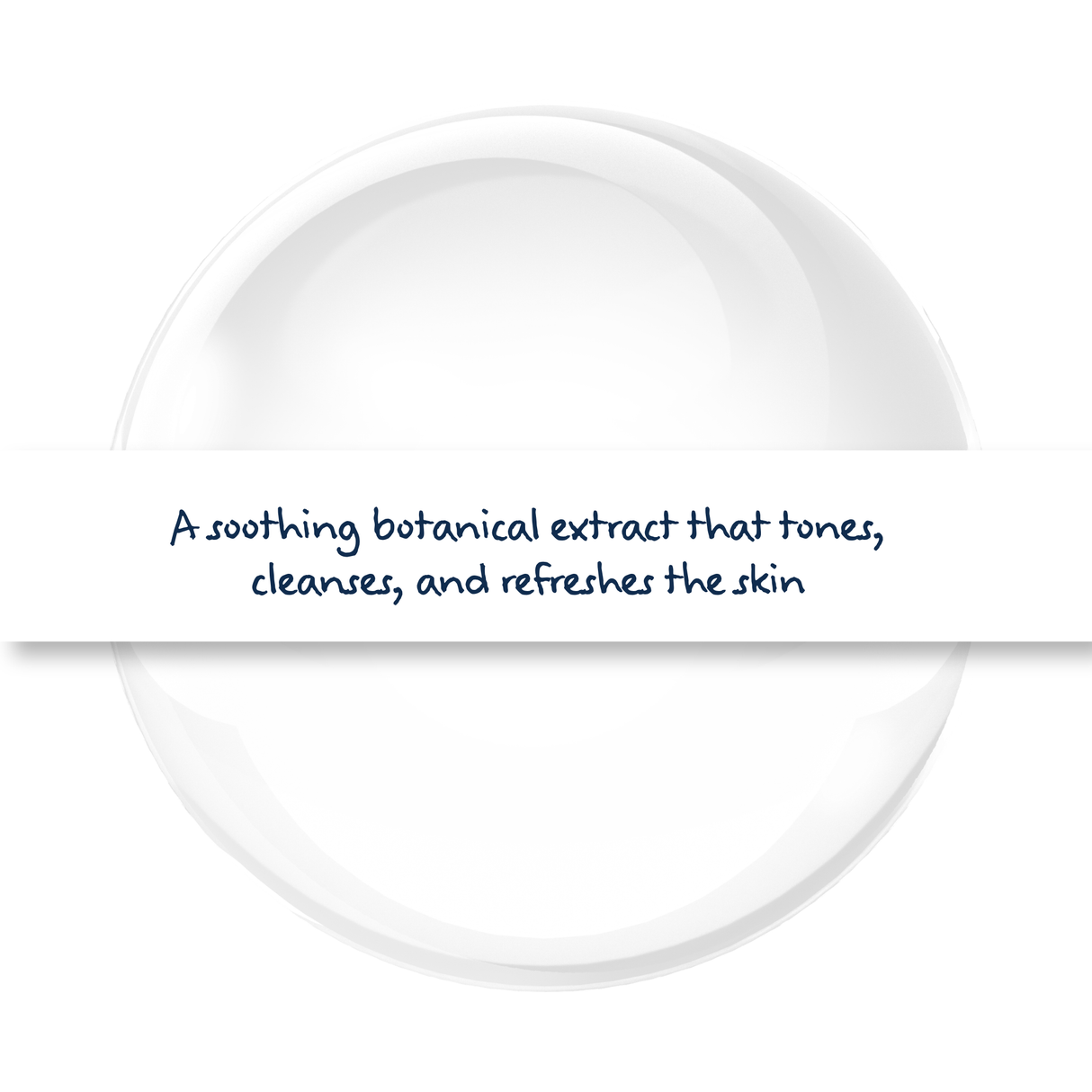 Witch Hazel Hydrosol cosmetic botanical extract, natural astringent used in toners, facial sprays, and skincare for cleansing and soothing skin