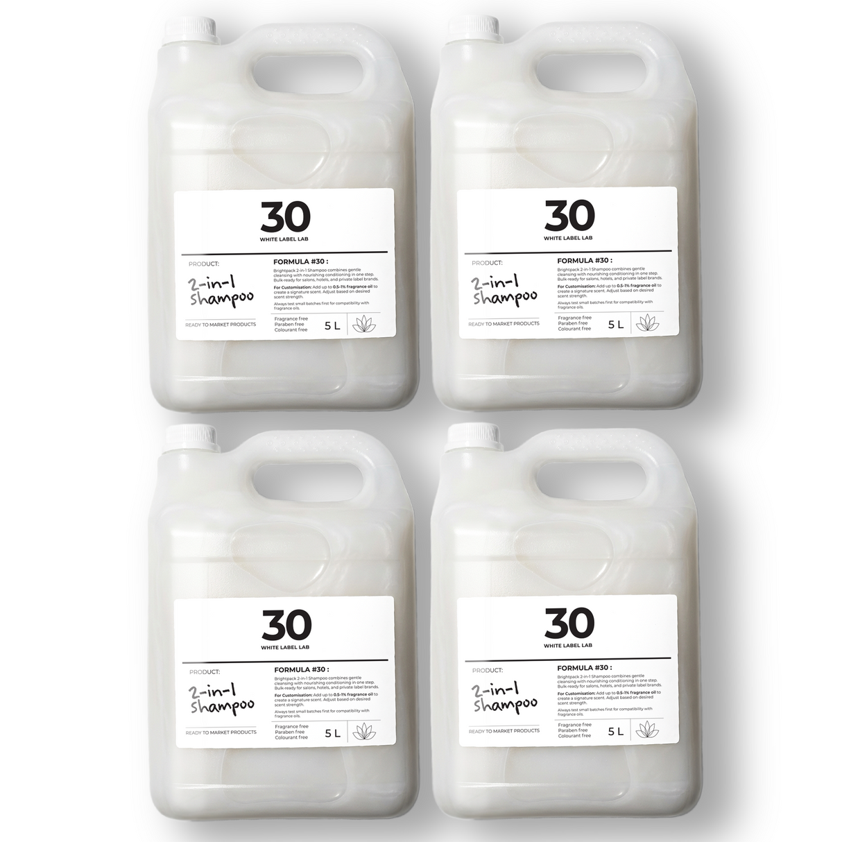 Pack of four 5 L jerry cans of Brightpack 2-in-1 shampoo combining cleansing and conditioning.