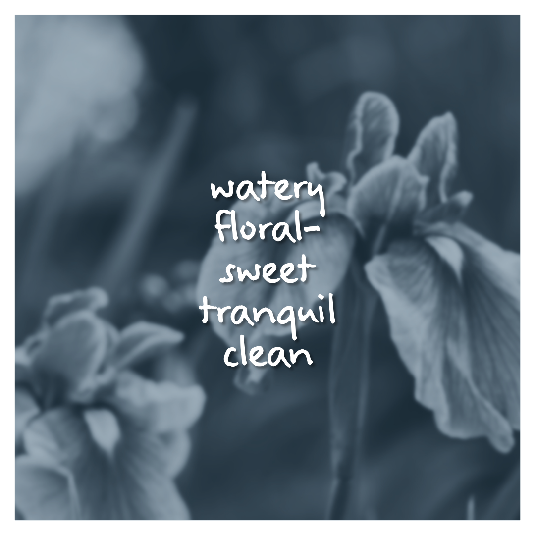 Iris Rain Fragrance Oil