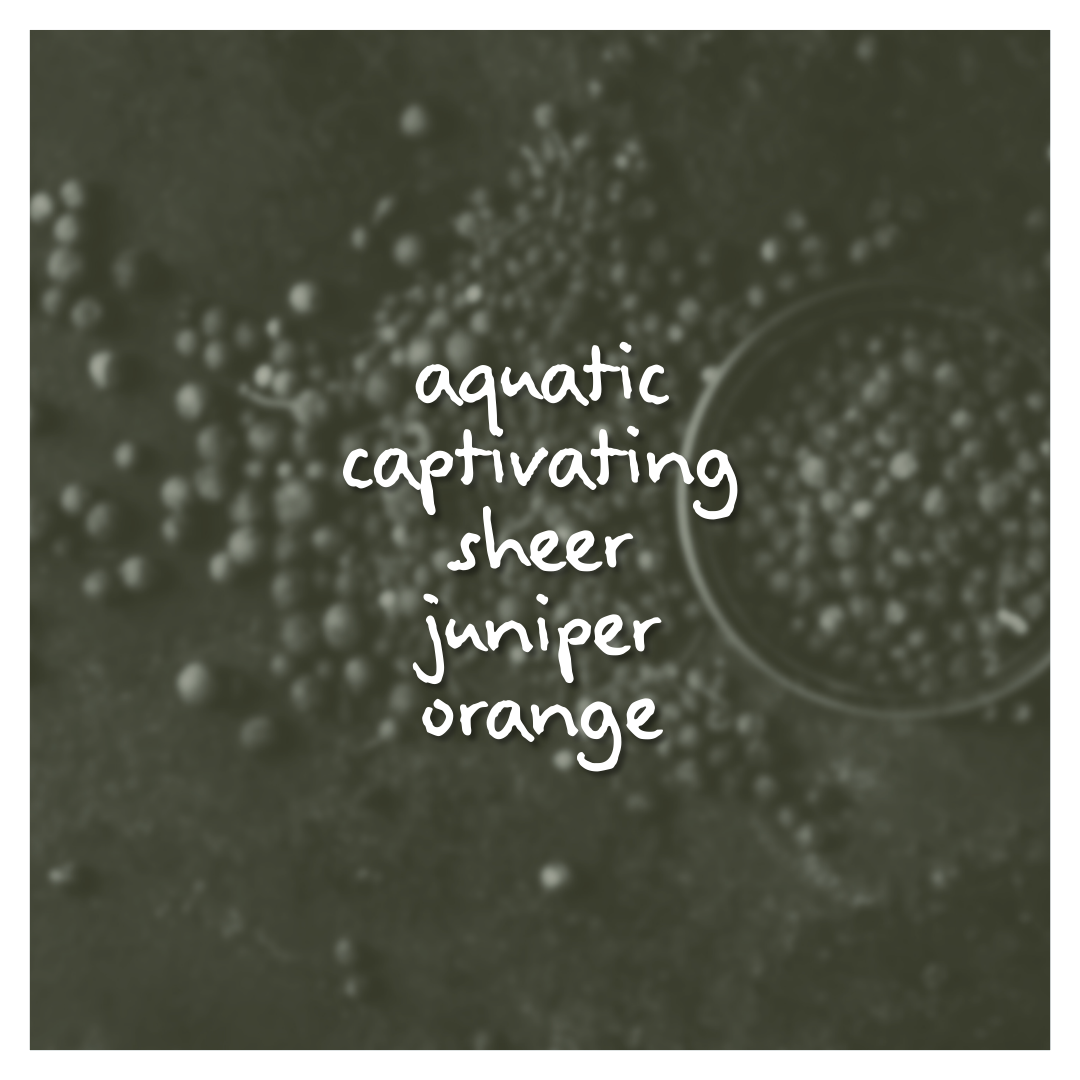 Peppered Twilight Fragrance Oil