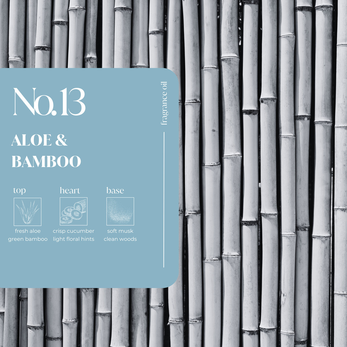 Aloe & Bamboo Fragrance Oil