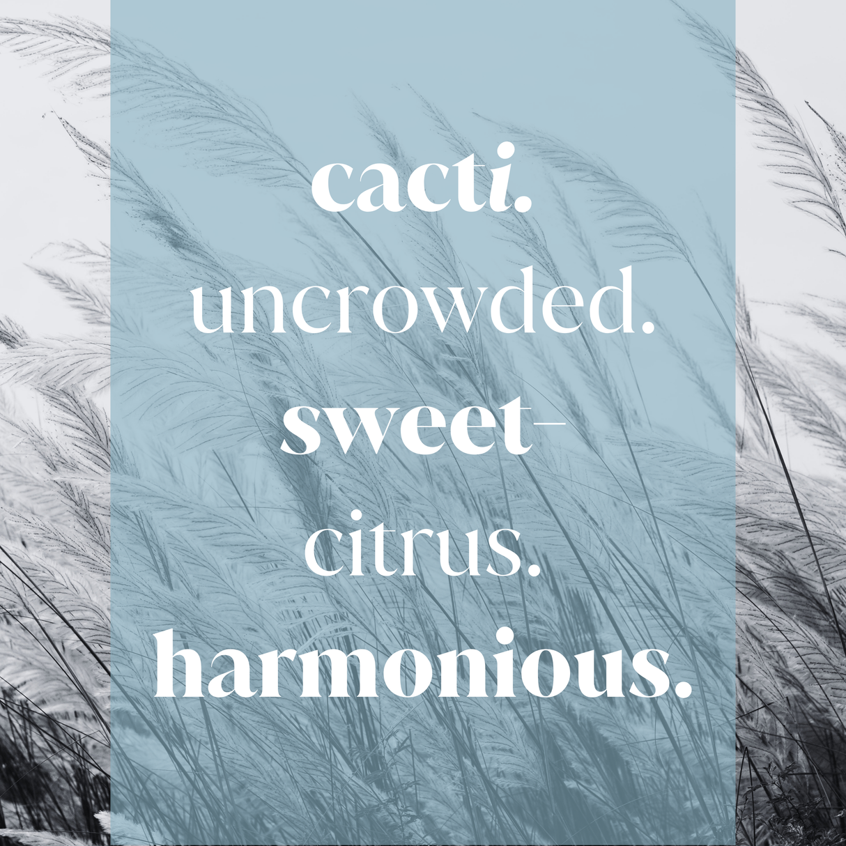 Breeze Fusion Fragrance Oil