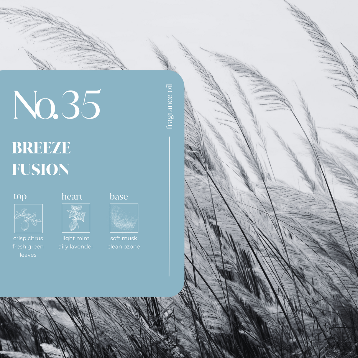 Breeze Fusion Fragrance Oil
