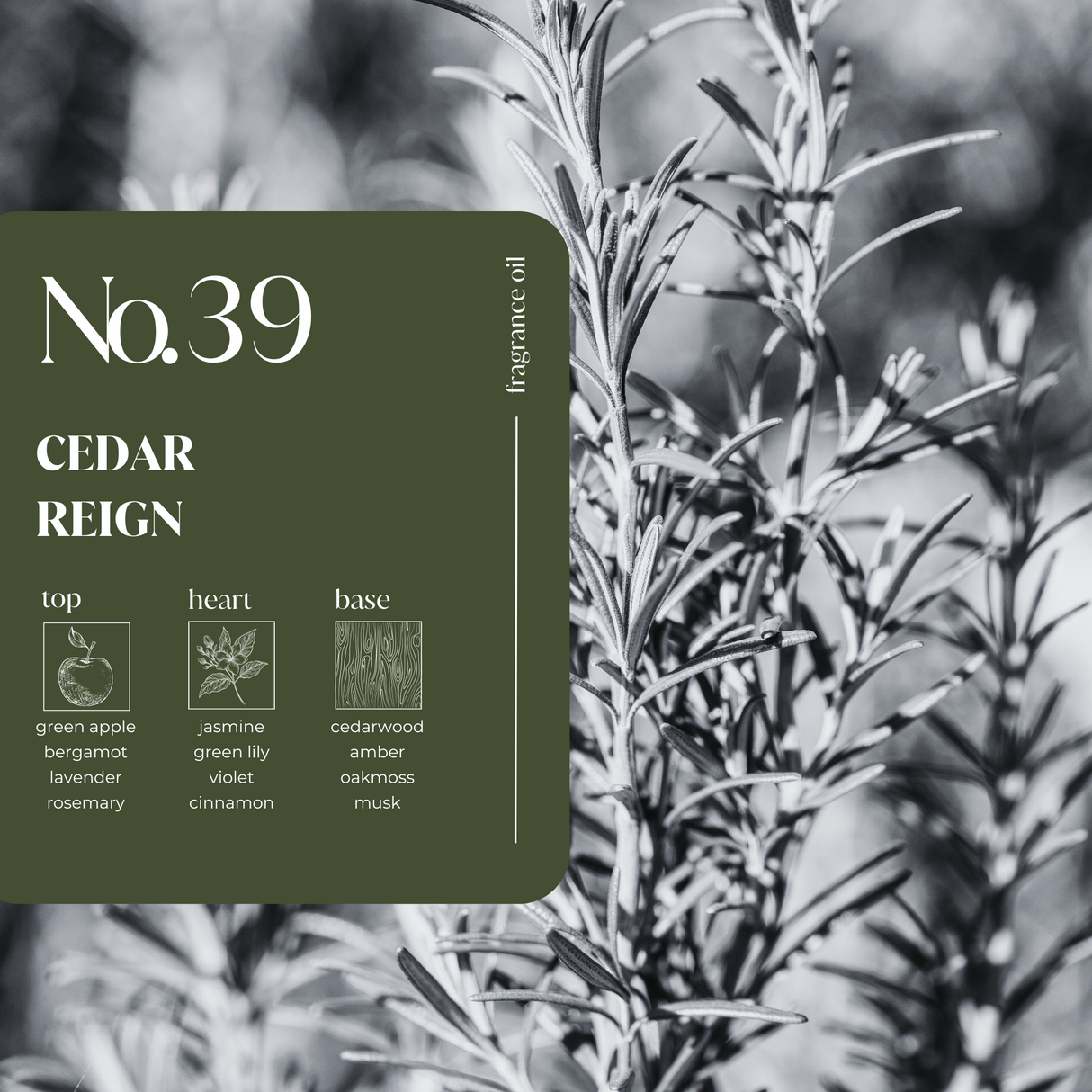 Cedar Reign Fragrance Oil