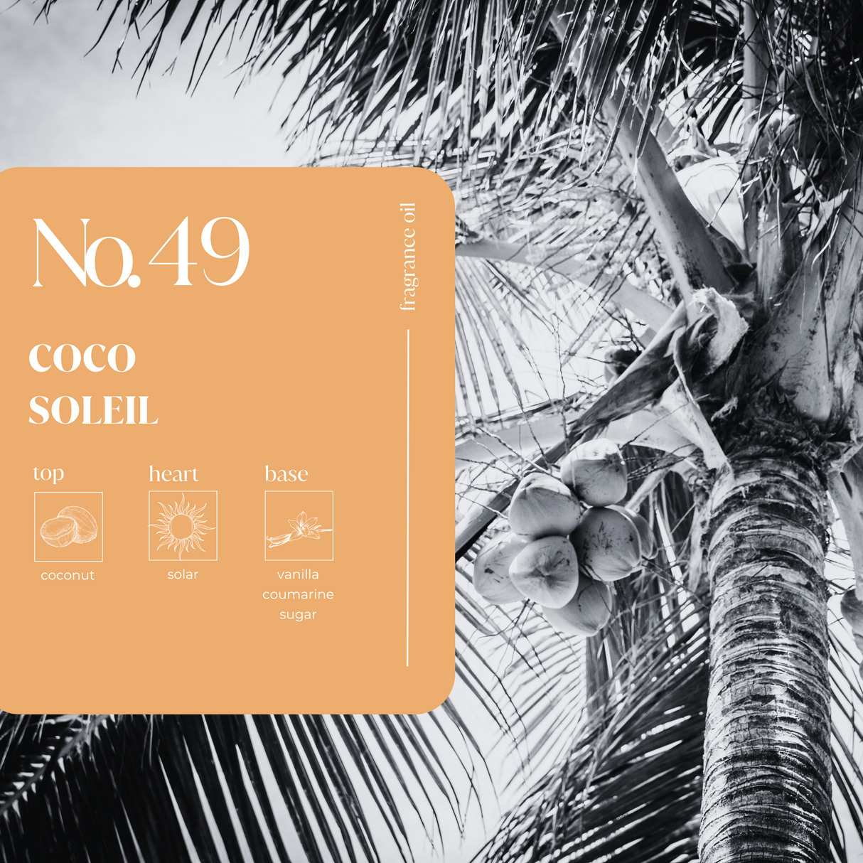 Coco Soleil Fragrance Oil