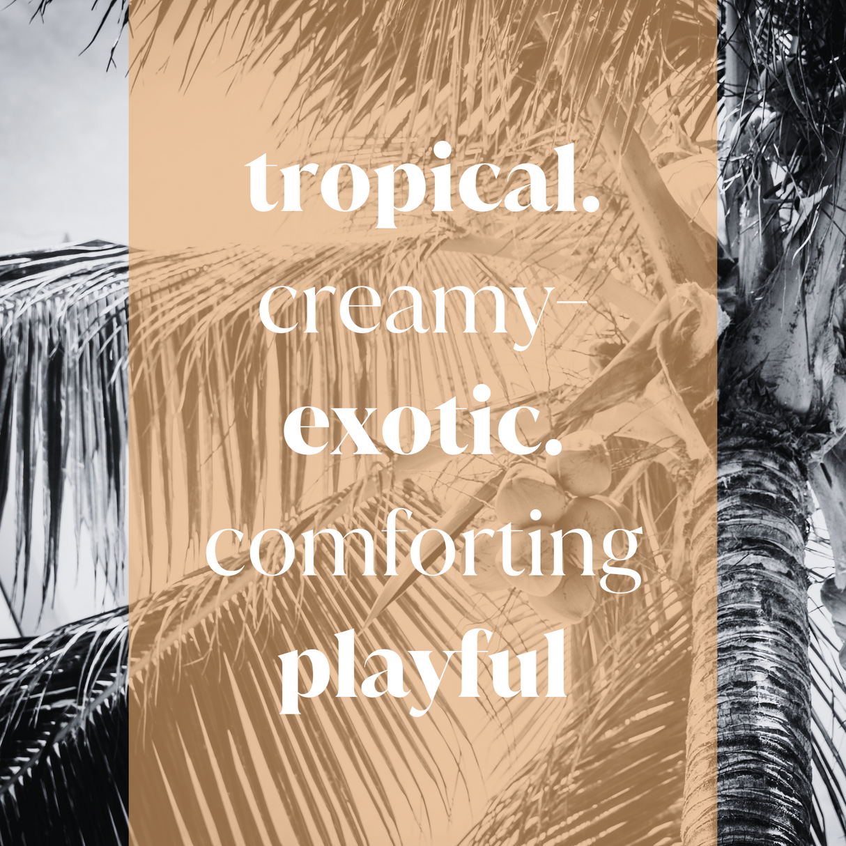 Coco Soleil Fragrance Oil