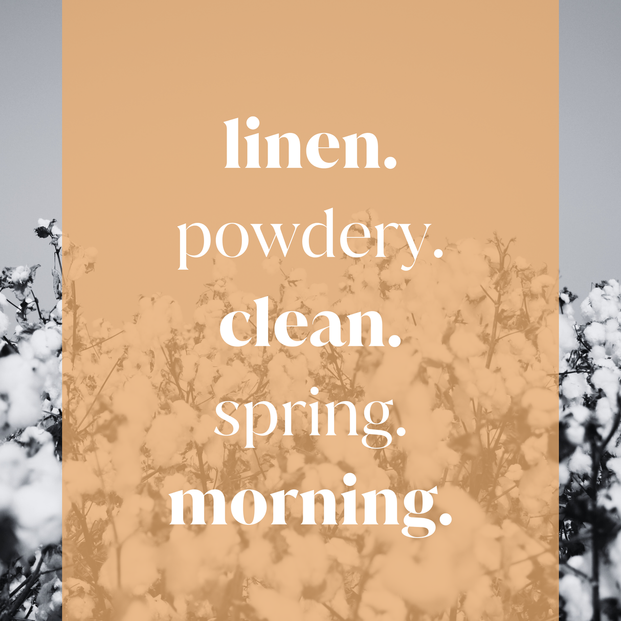 Cotton Flower Fragrance Oil