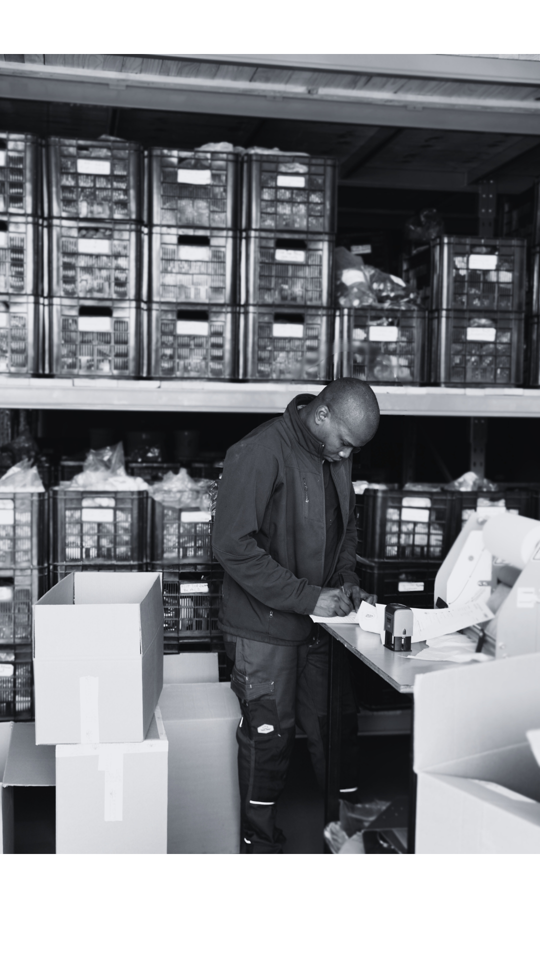 Image Title Alt Image