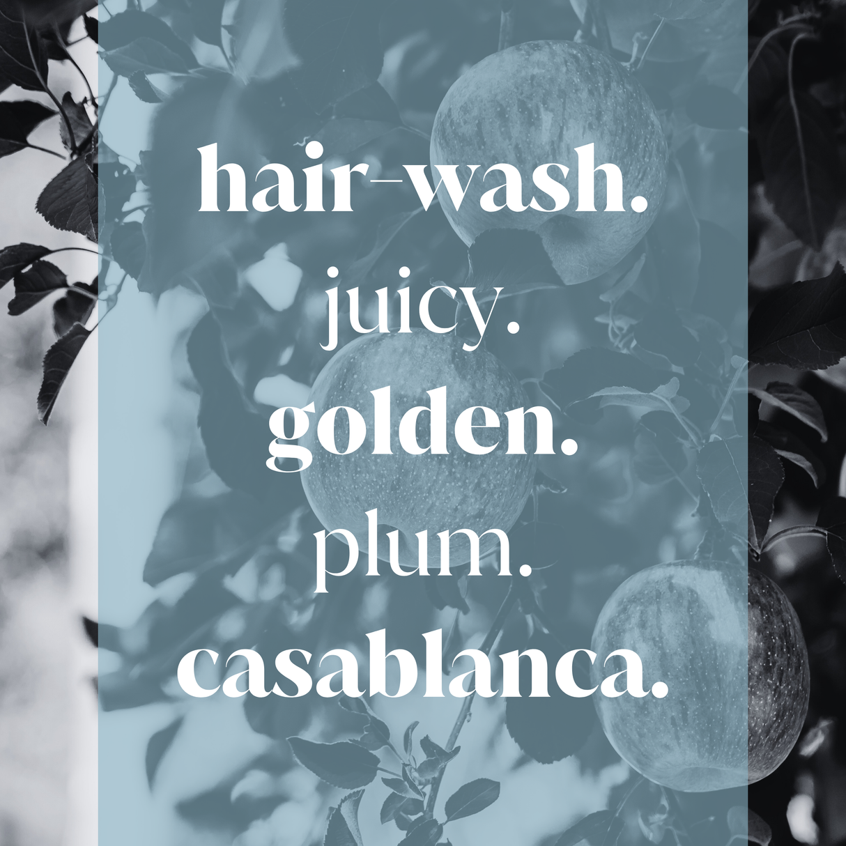 Golden Delicious Fragrance Oil