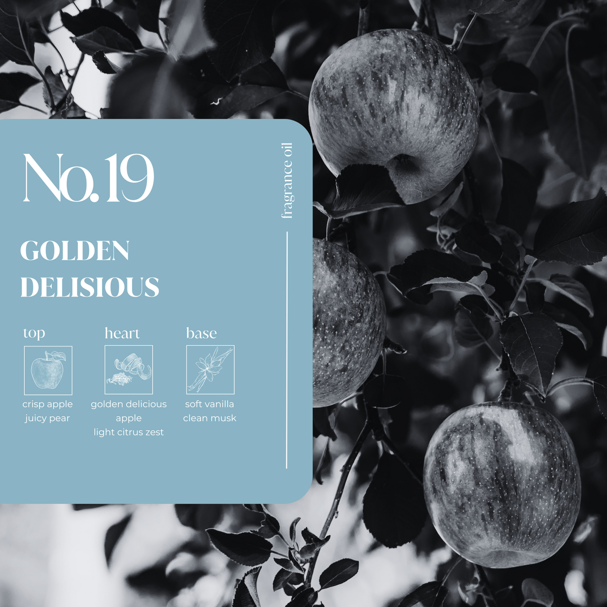 Golden Delicious Fragrance Oil