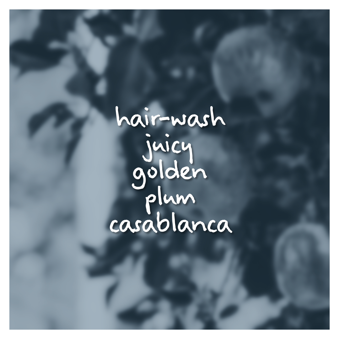Golden Delicious Fragrance Oil