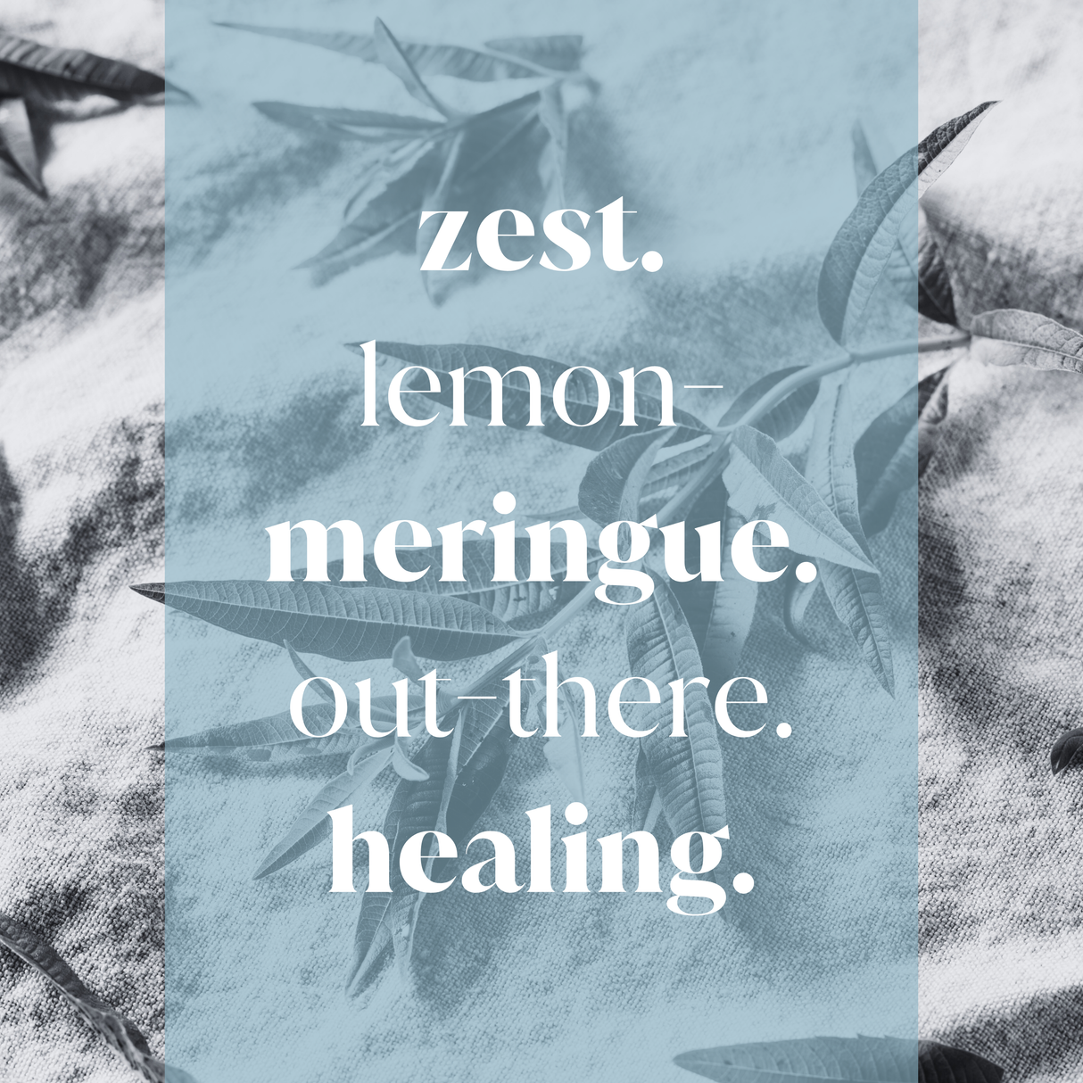 Lemon Verbena Fragrance Oil