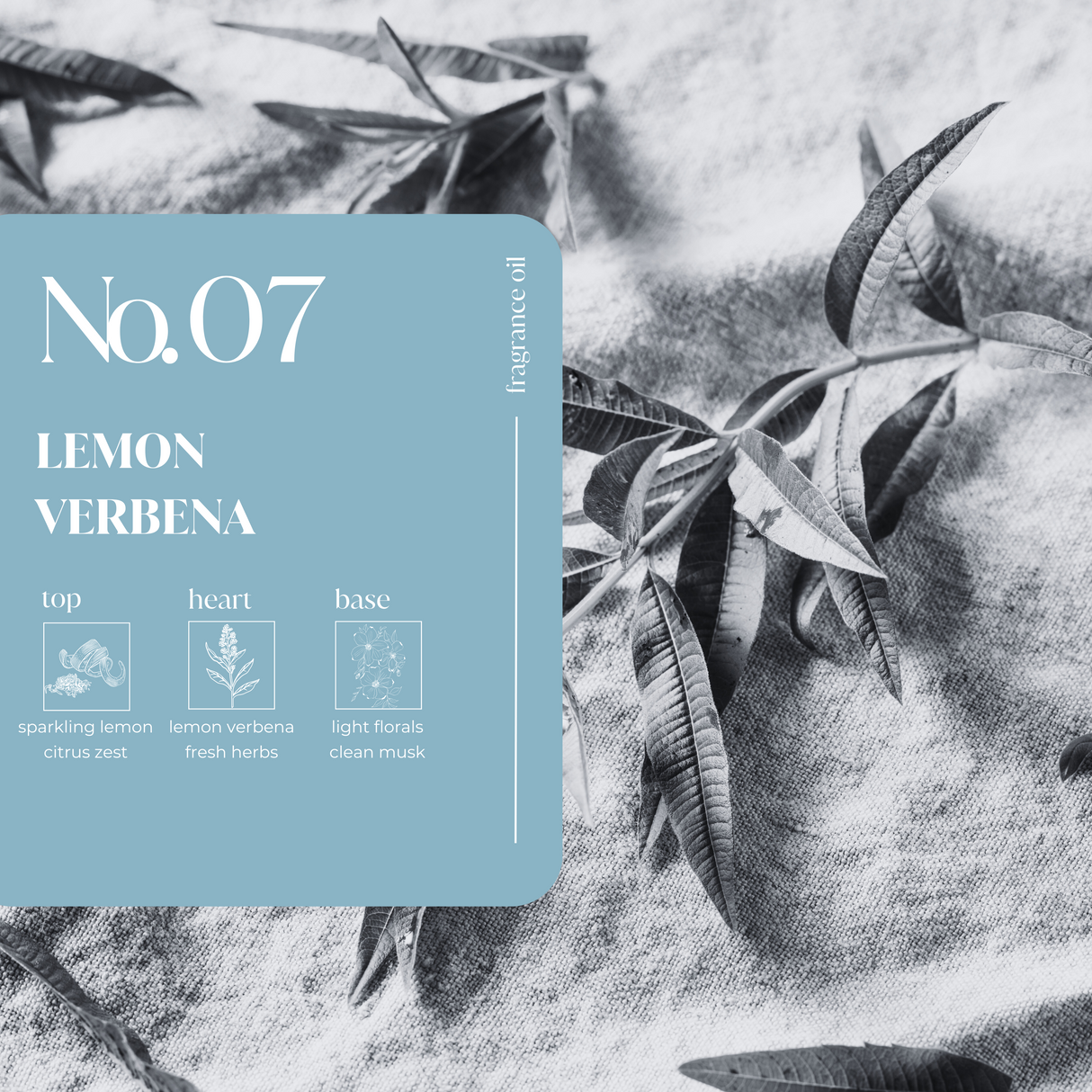 Lemon Verbena Fragrance Oil