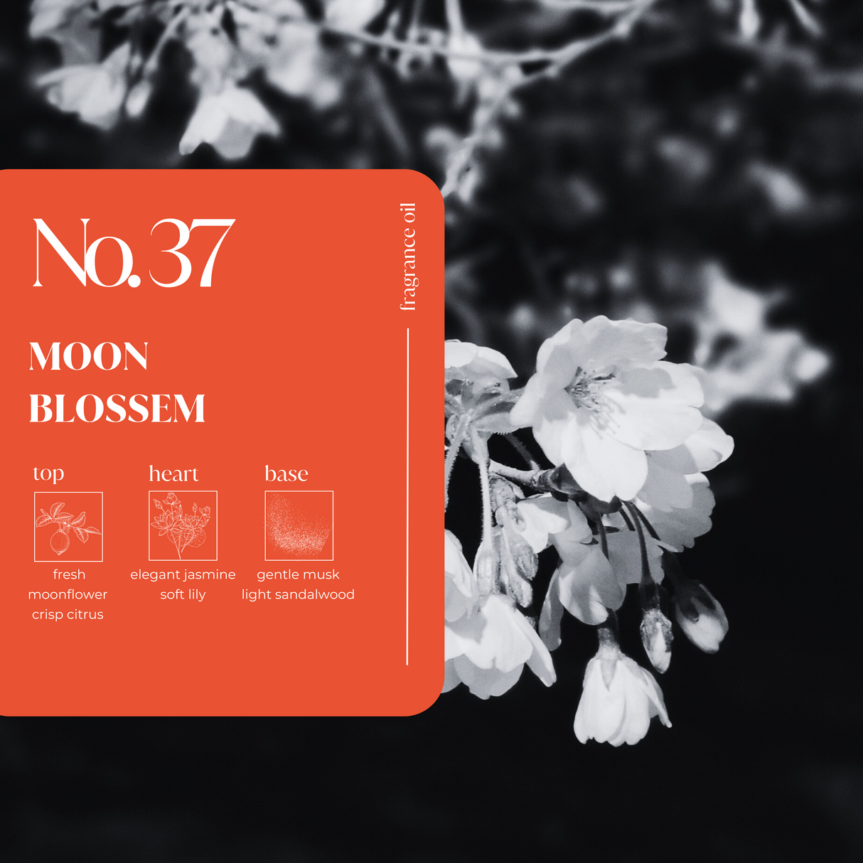 Moonblossom Fragrance Oil