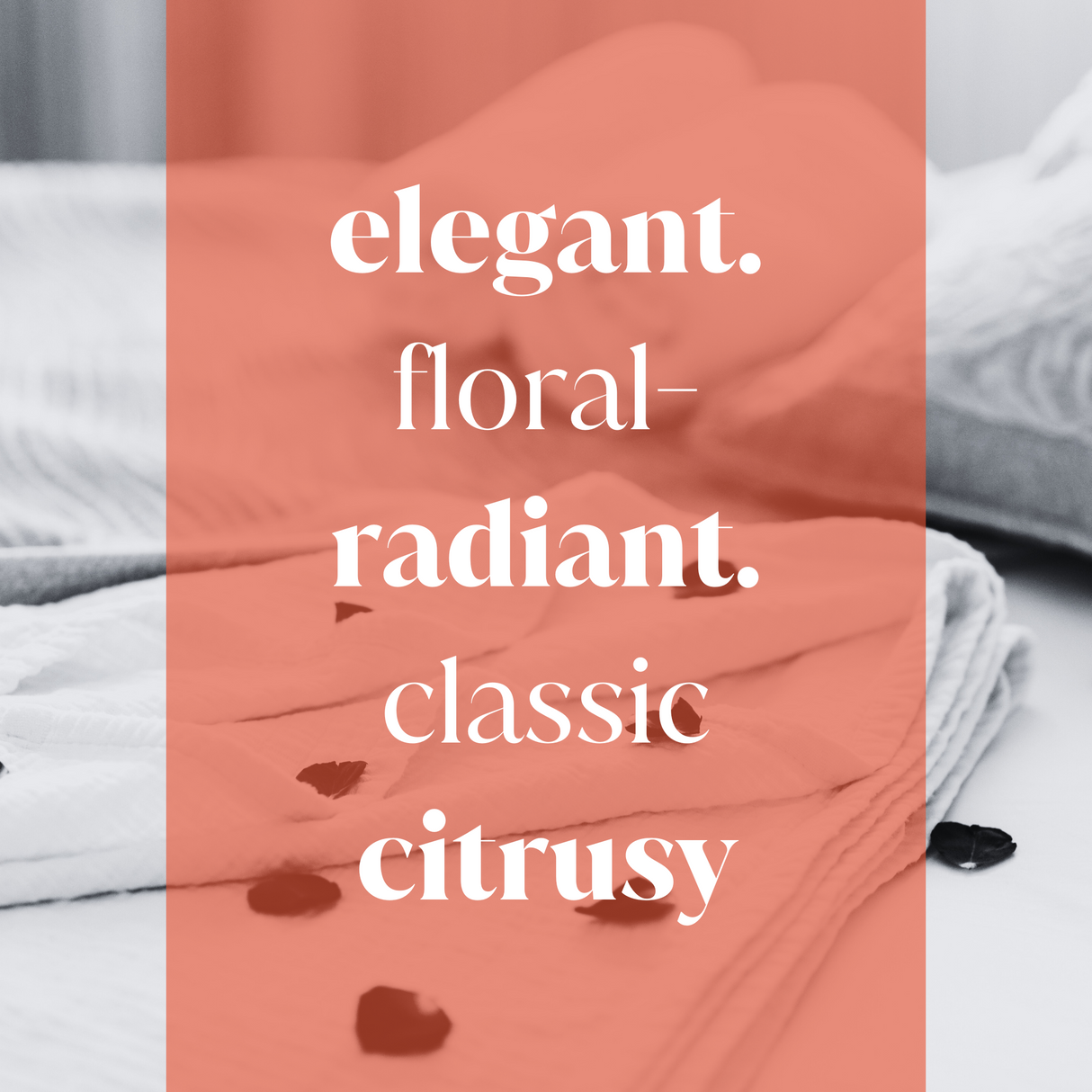 Novelle Fragrance Oil