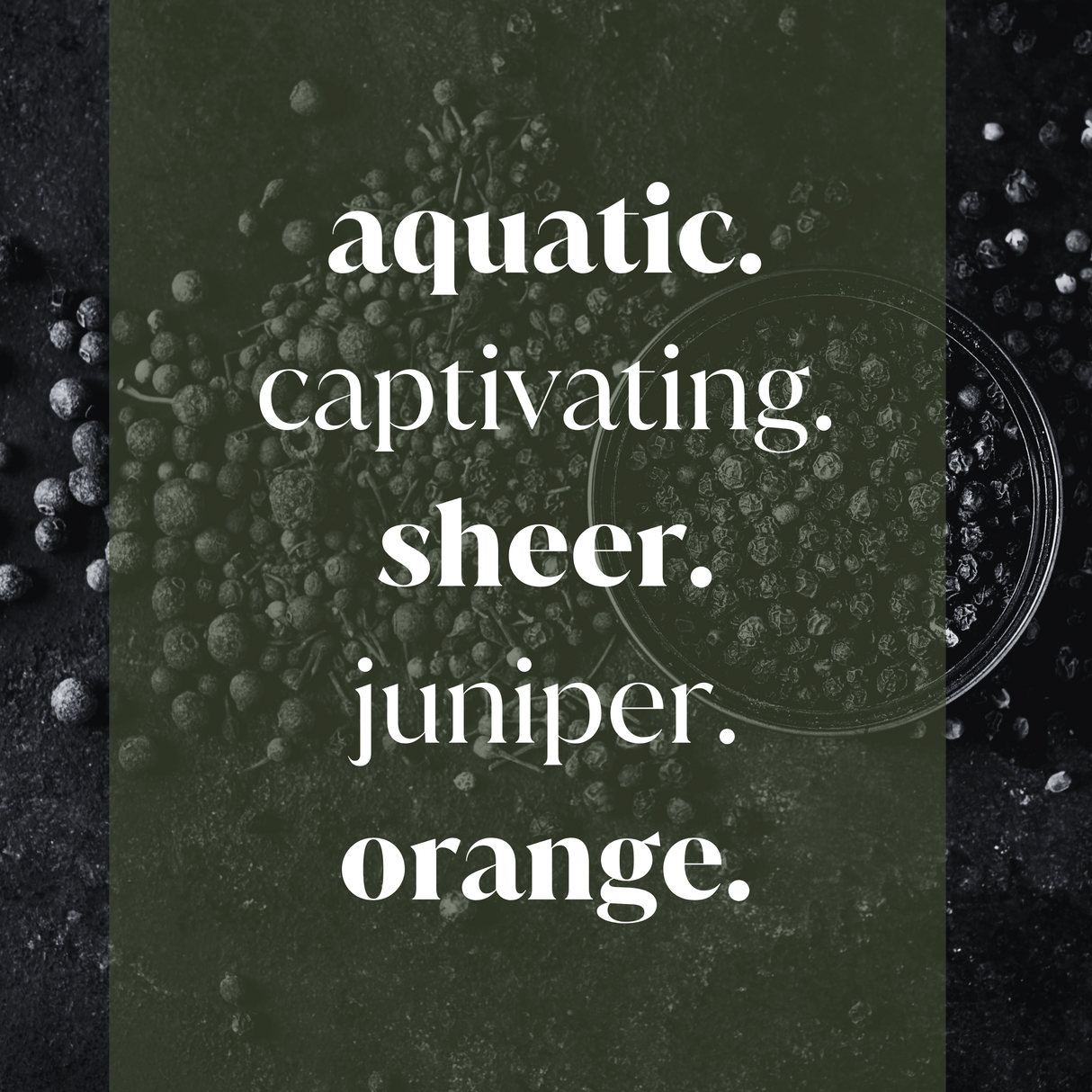 Peppered Twilight Fragrance Oil