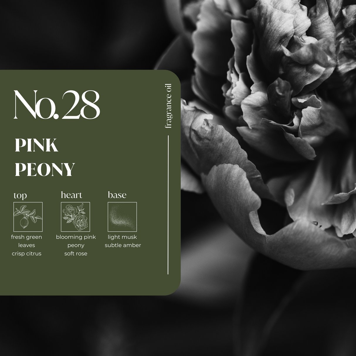 Pink Peony Fragrance Oil