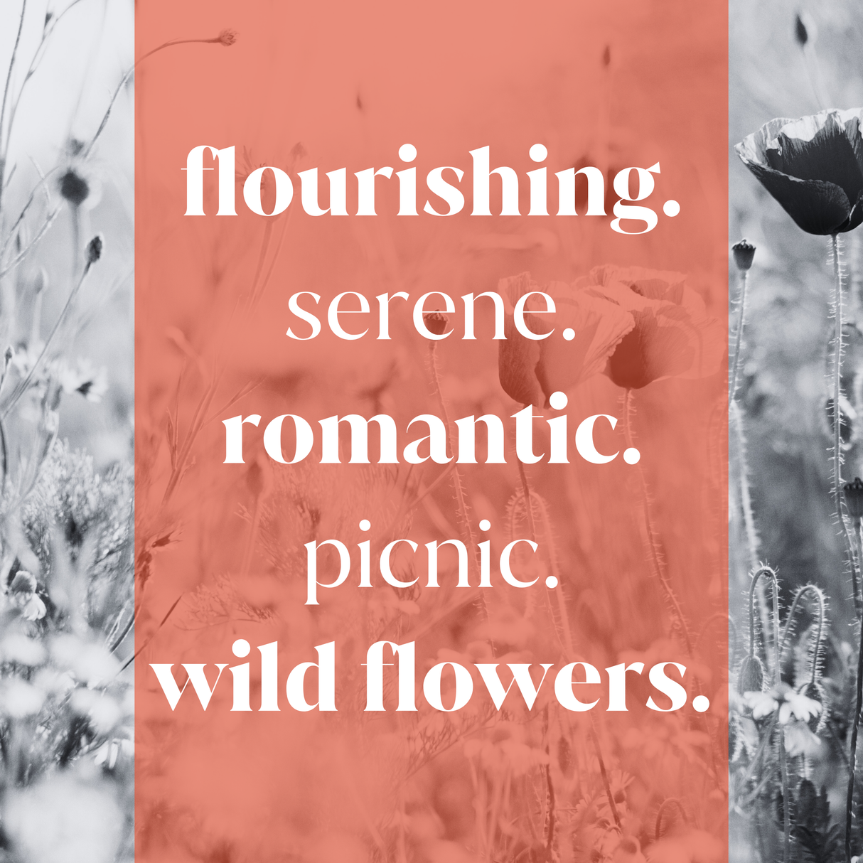 Plush Meadow Fragrance Oil