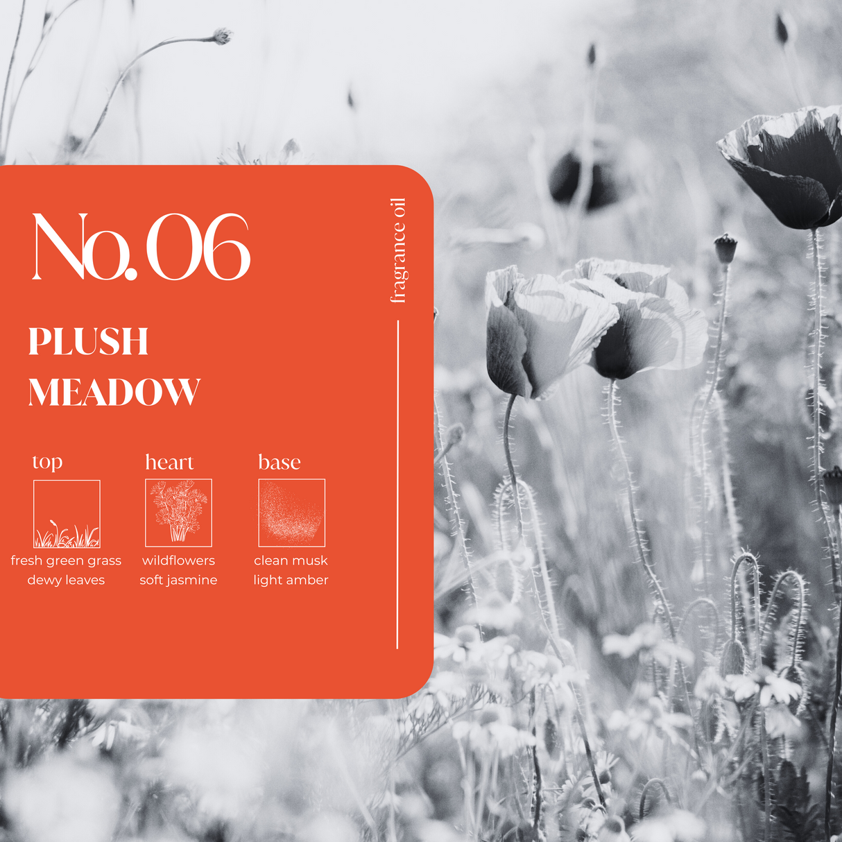 Plush Meadow Fragrance Oil