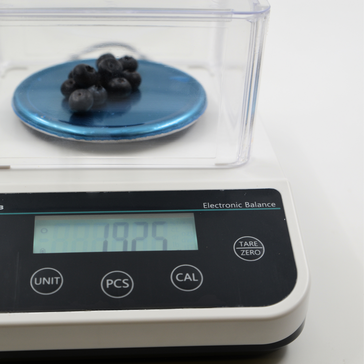 Scale with blueberries on tray lifestyle closeup