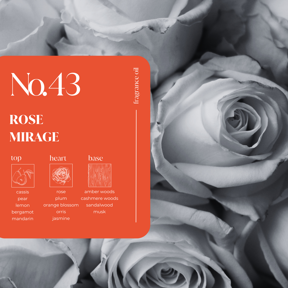 Rose Mirage Fragrance Oil