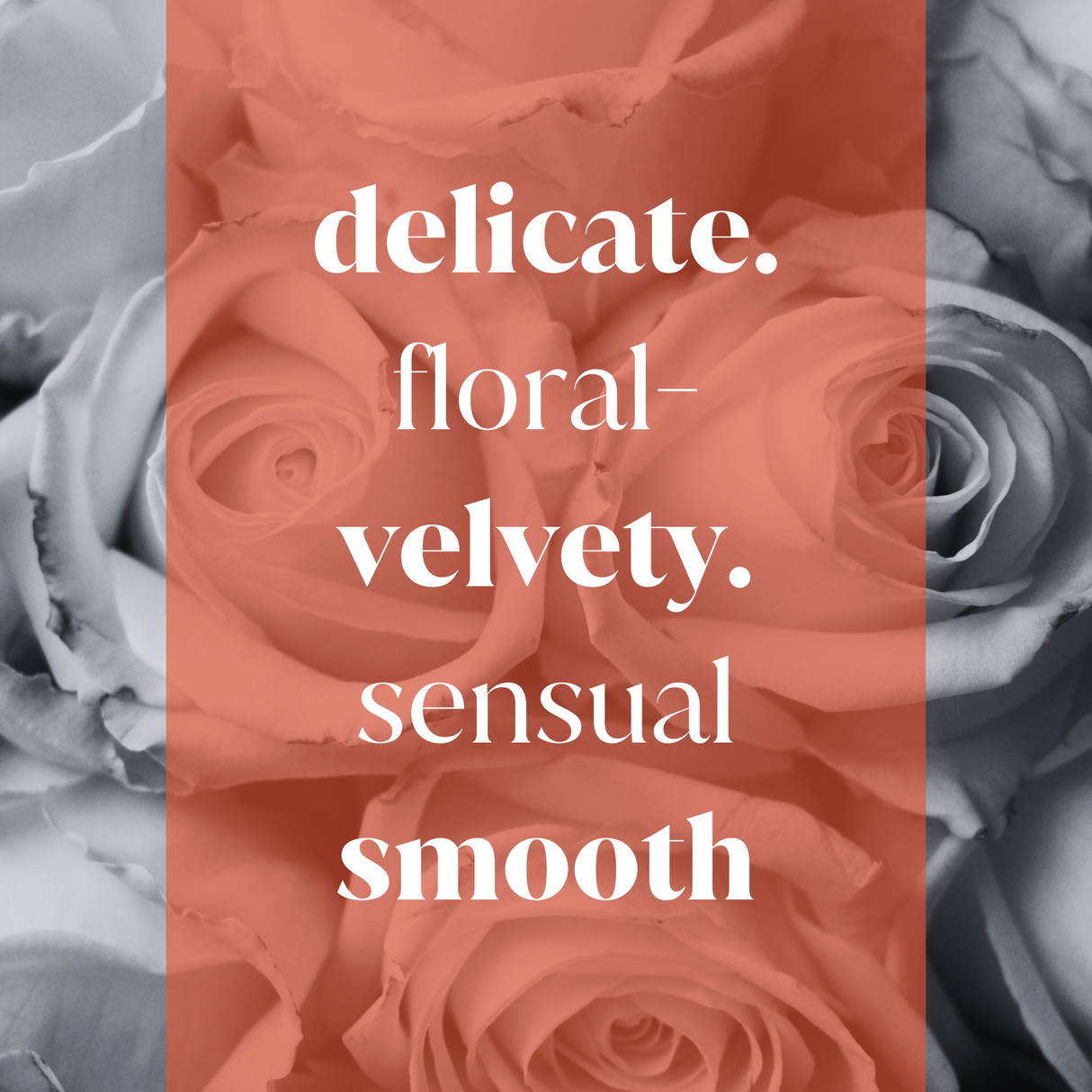 Rose Mirage Fragrance Oil