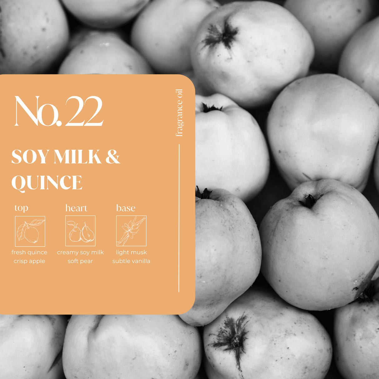 Soy Milk & Quince Fragrance Oil (Hypoallergenic)