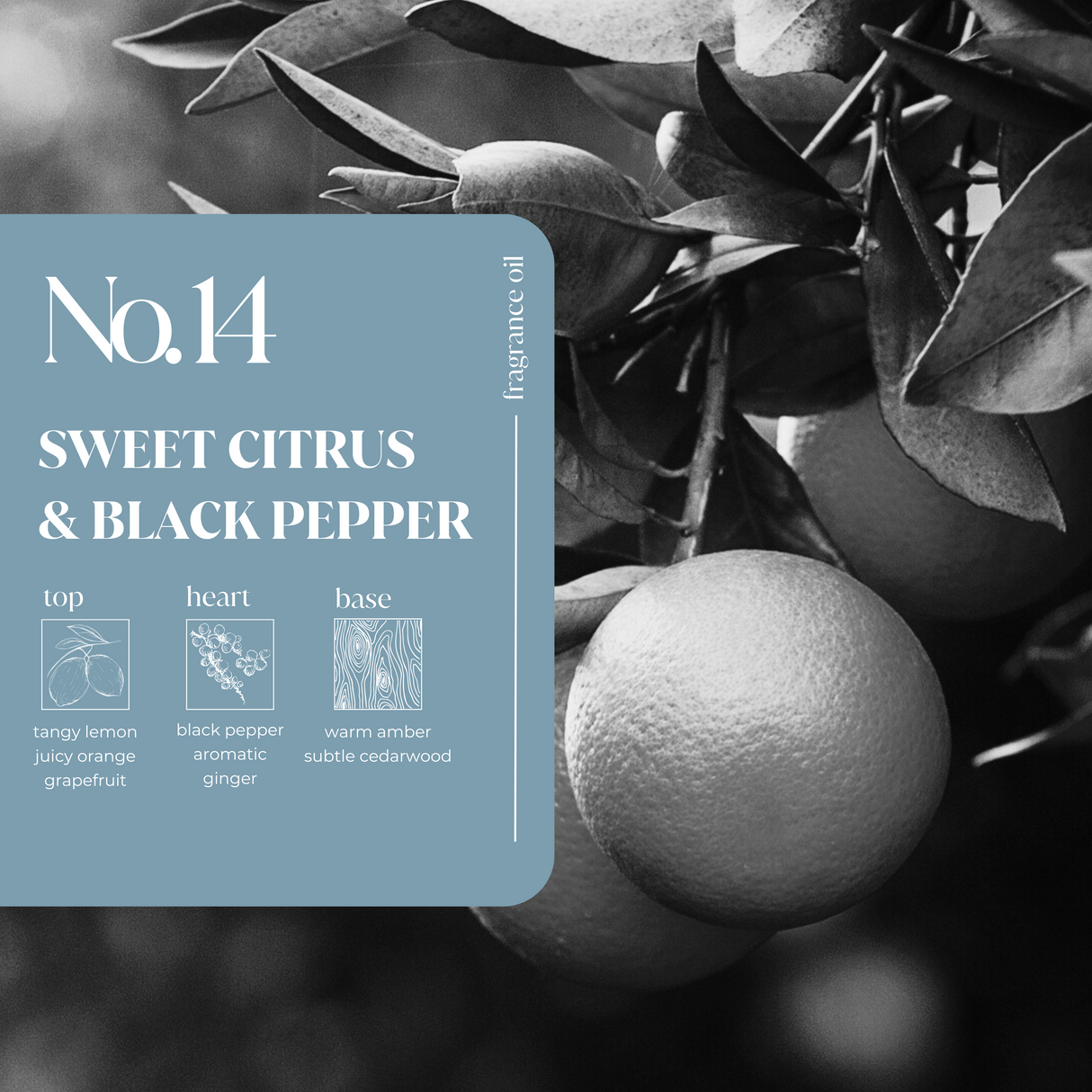 Sweet Citrus & Black Pepper Fragrance Oil
