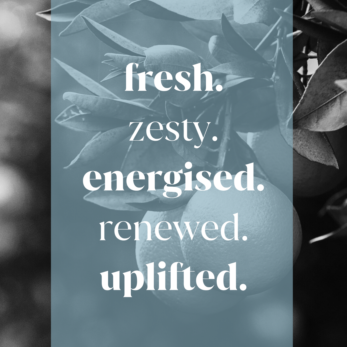 Sweet Citrus & Black Pepper Fragrance Oil