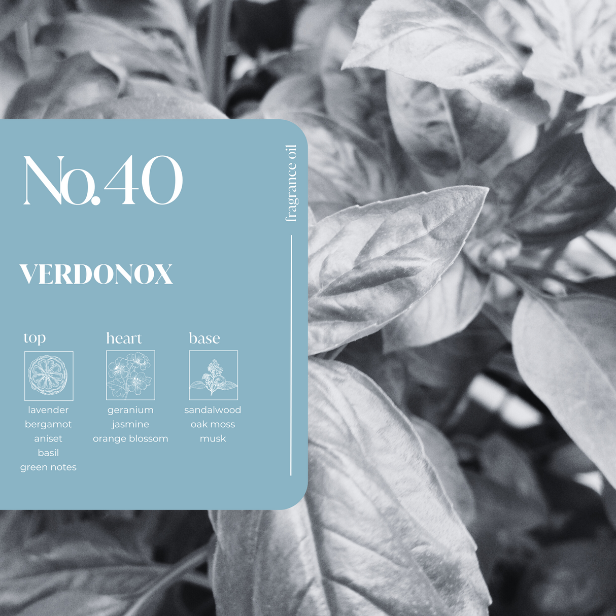 Verdonox Fragrance Oil