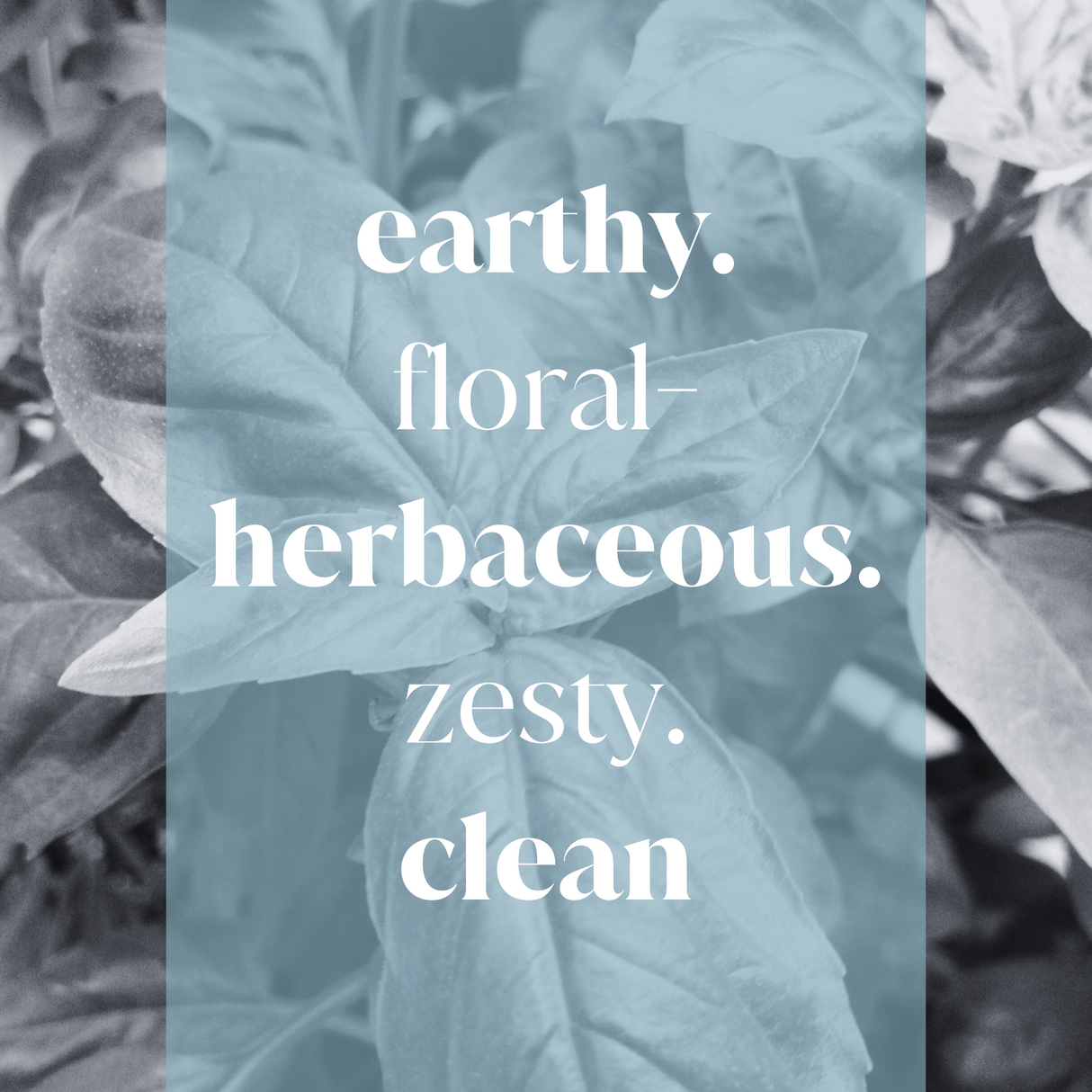 Verdonox Fragrance Oil