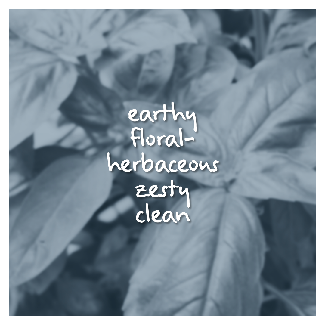 Verdonox Fragrance Oil