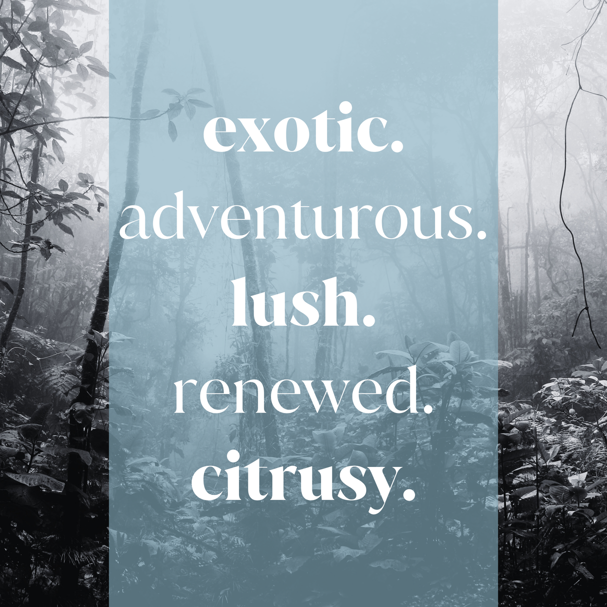 Yuzu Rainforest Fragrance Oil