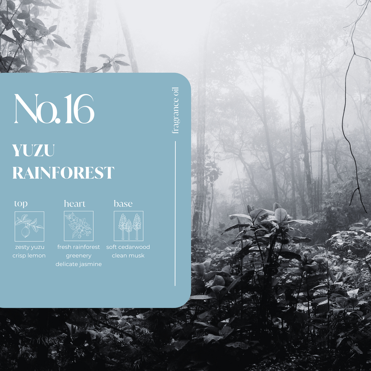 Yuzu Rainforest Fragrance Oil