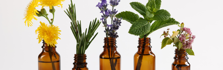 Why Every Small Business Needs a Signature Scent (And How to Find Yours)