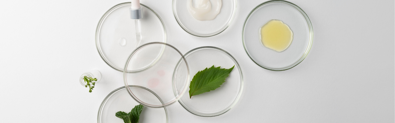 From Dull to Dewy - How Antioxidants Bring Skin Back to Life