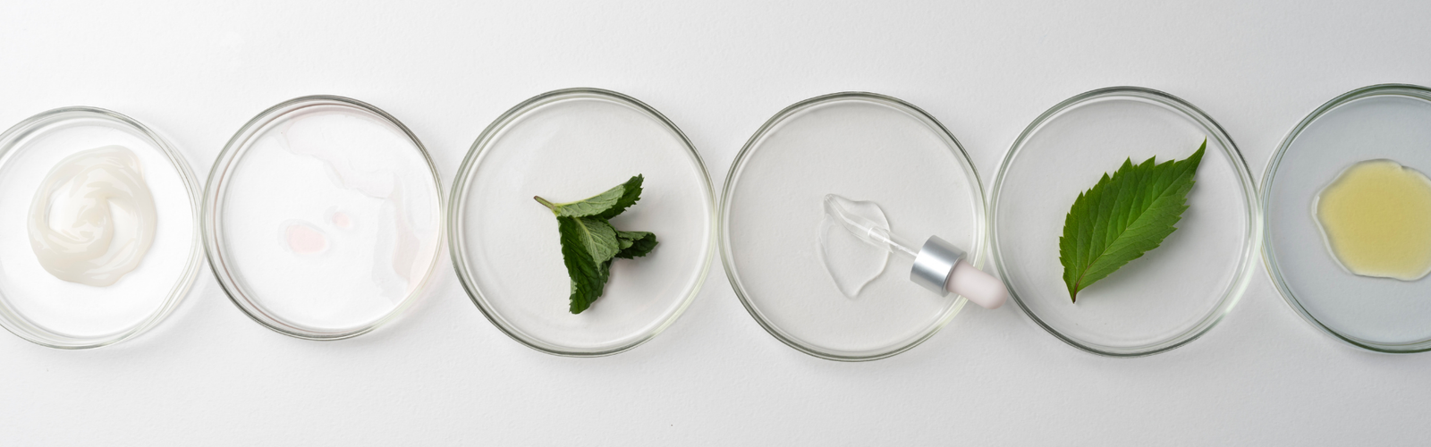 Active Ingredients vs The Rest of the Formula: Why Both Matter