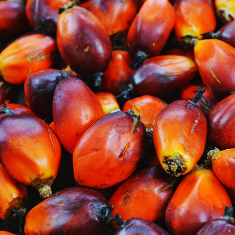 Palm Oil cosmetic grade, plant-derived oil used in soaps, skincare, and formulations for moisturising and structural properties