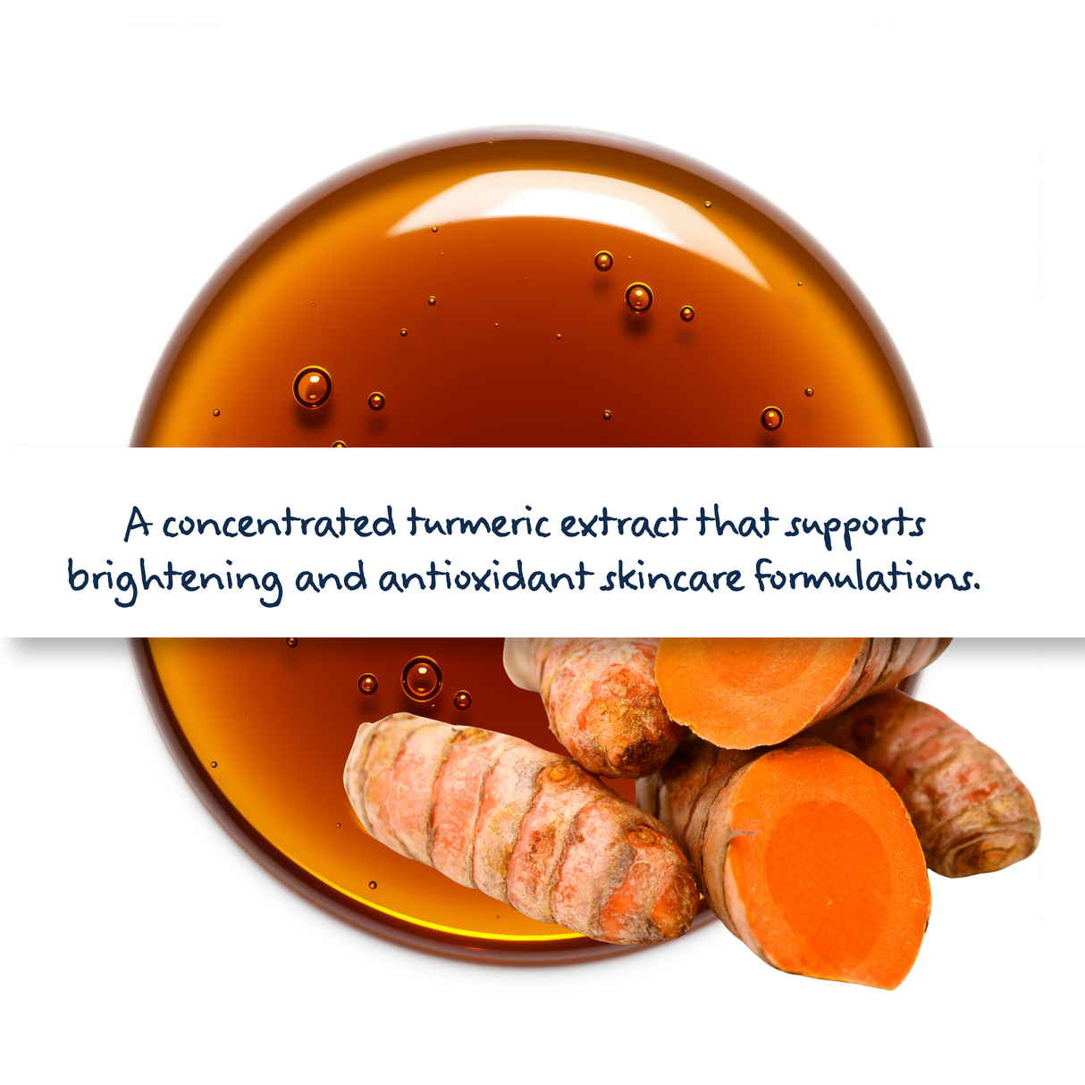 Turmeric 10 percent Extract in bottle, Curcuma longa liquid for brightening skincare, antioxidant protection, and cosmetic formulations
