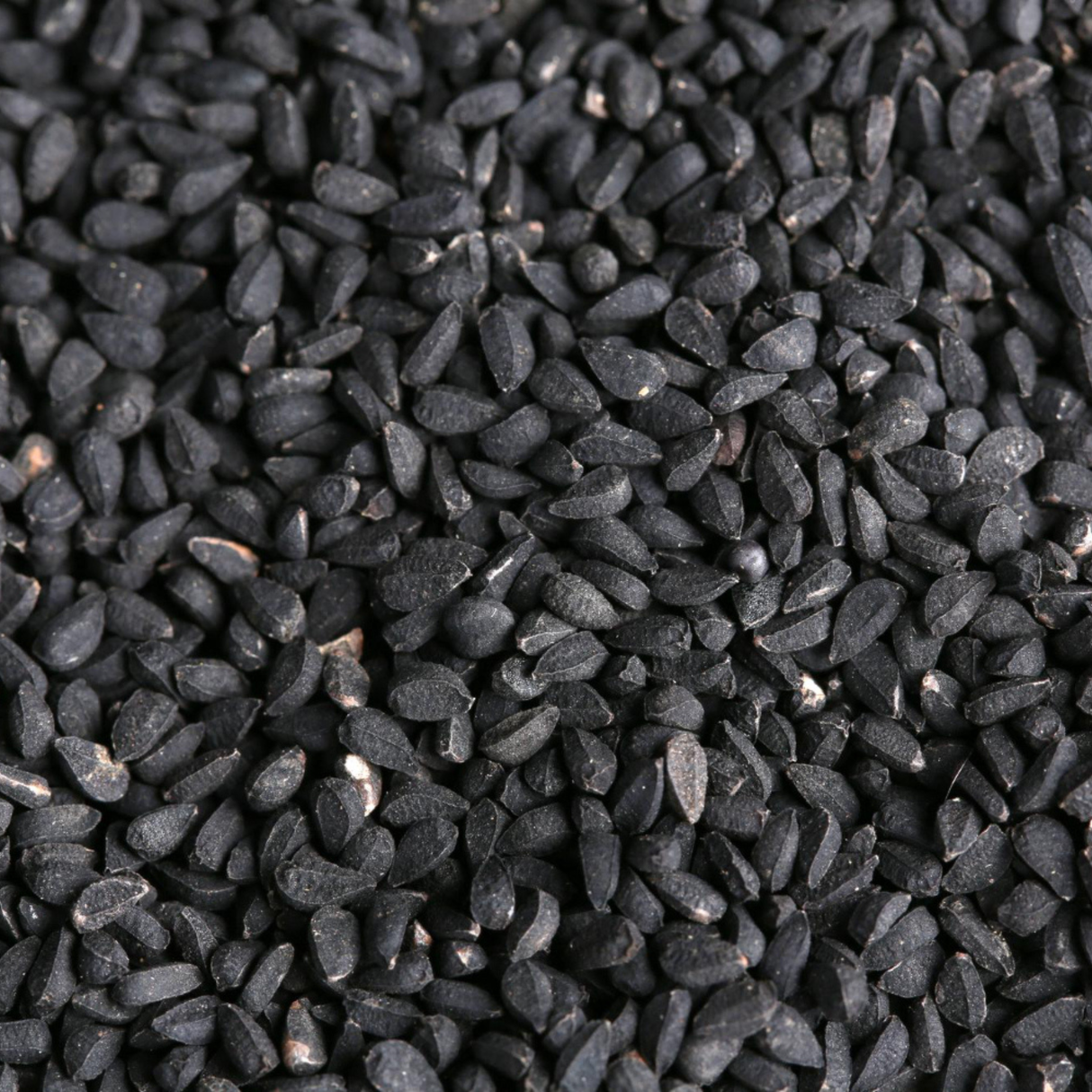 Black Seed Oil cosmetic oil, also known as Black Cumin Oil, nutrient-rich and antioxidant-packed for skin nourishment, hydration, and hair care