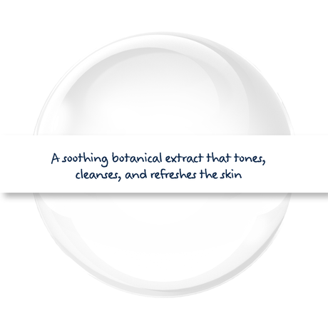 Witch Hazel Hydrosol cosmetic botanical extract, natural astringent used in toners, facial sprays, and skincare for cleansing and soothing skin