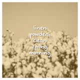 Cotton Flower Fragrance Oil