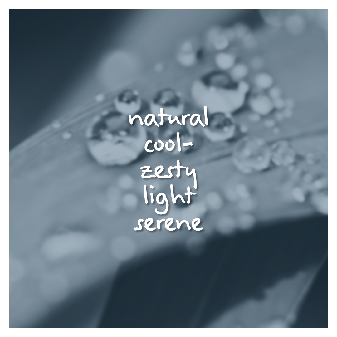Dew Lace Fragrance Oil