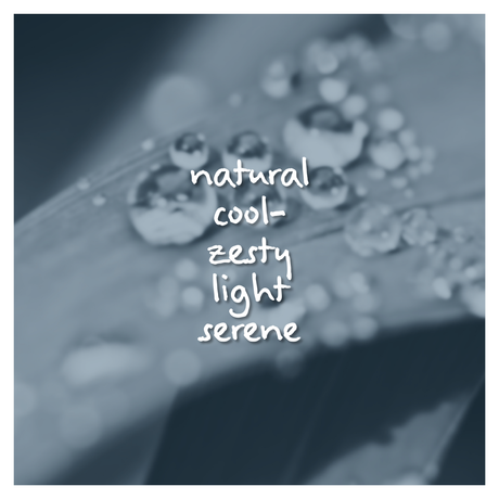 Dew Lace Fragrance Oil