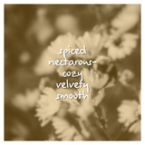 Honey Ember Fragrance Oil