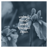 Iris Rain Fragrance Oil