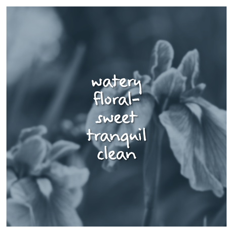 Iris Rain Fragrance Oil