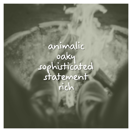 Leather Bonfire Fragrance Oil