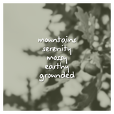 Soft Oak Fragrance Oil